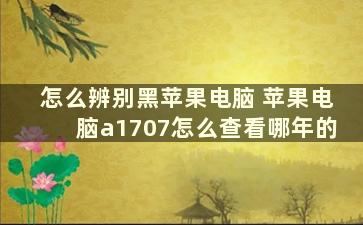 怎么辨别黑苹果电脑 苹果电脑a1707怎么查看哪年的